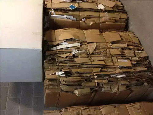侬晓得伐？用完的快递纸箱千万别扔，放在这里能自动换钱！一家人都捡着回家的宝！